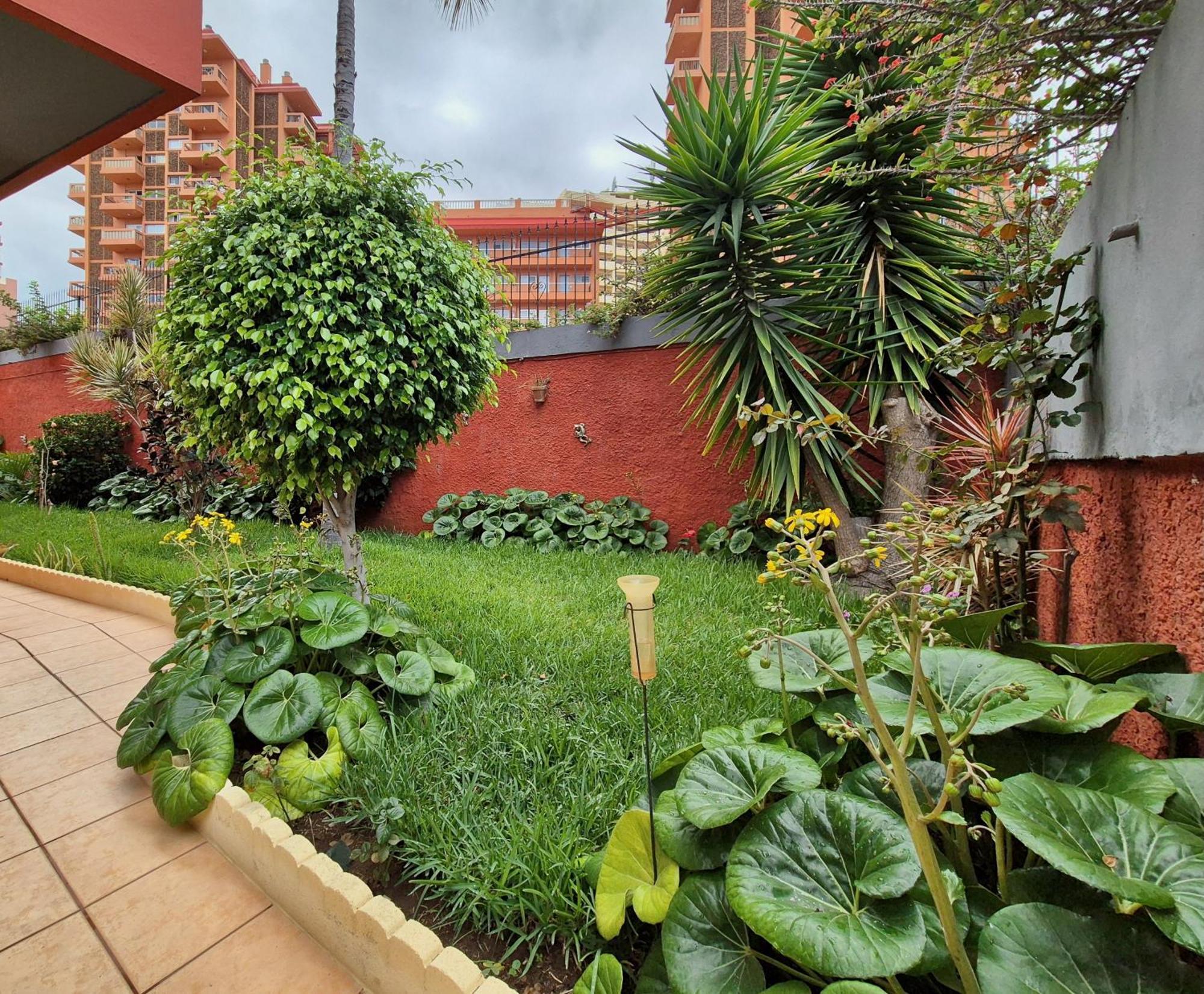 Canaima Apartments Puerto de la Cruz  Dış mekan fotoğraf
